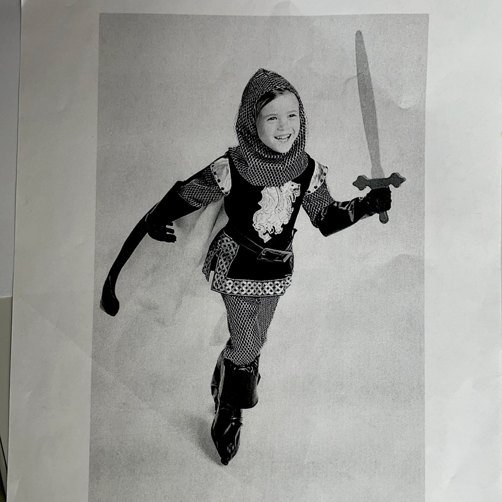 Wishcraft Knight Costume